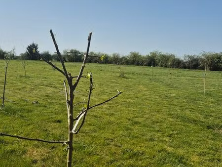 location terrain+dépendance