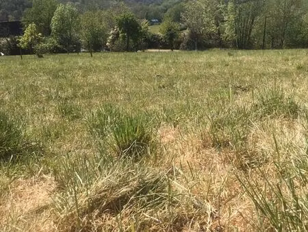 terrain à vendre