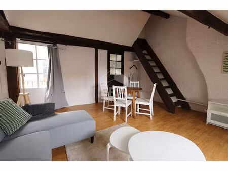 loft meublé avec terrasse 2 pièce(s) 50 m2 au sol orléans