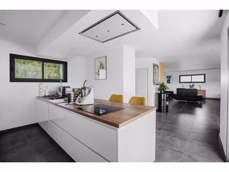 villa moderne et de plain-pied à vendre 5 pièces (31)