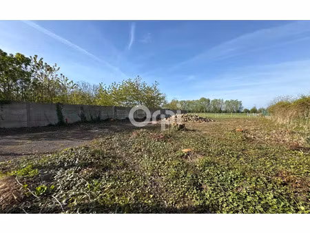 terrain templeuve m² t- à vendre  212 000 €