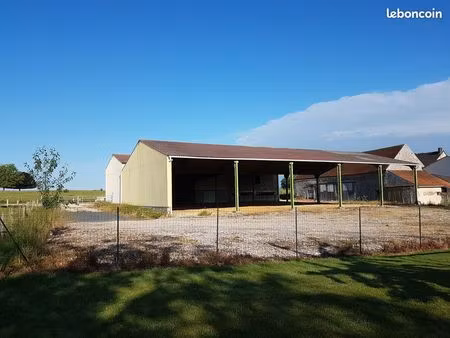 hangar agricole 780 m2 sur 1960 m2 de terrain