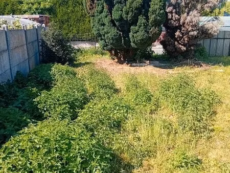 terrain constructible