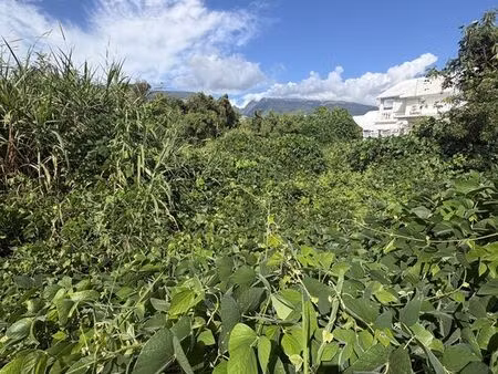 terrain 3600 m² ste marie