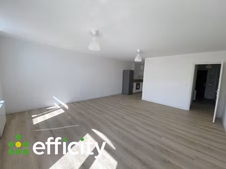 appartement 1 pièce - 45 m²