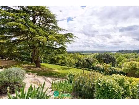 vente maison piscine à bouchemaine (49080) : à vendre piscine / 216m² bouchemaine
