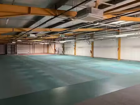 location commerce saint germain du puy 18390 575m²