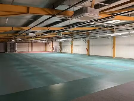 location commerce saint germain du puy 18390 575m²