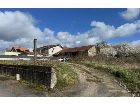 vente local d'activités teting-sur-nied 1 300 m²