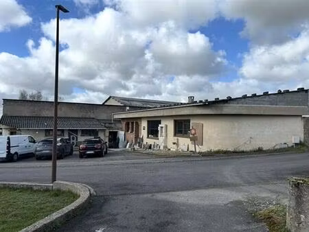 vente local d'activités teting-sur-nied 4 300 m²