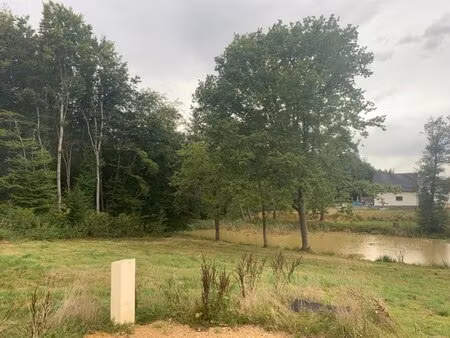 en vente terrain constructible 6 12 ares – 61 200 € |seppois-le-bas