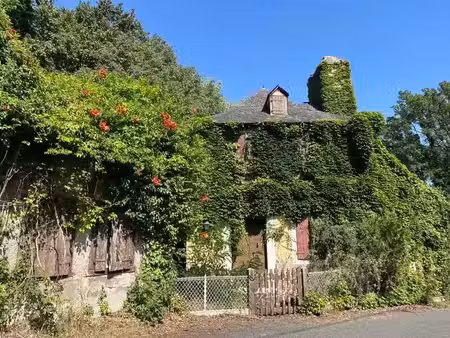 vente maison 4 pièces 107 m² à bosdarros (64290)  60 000 €