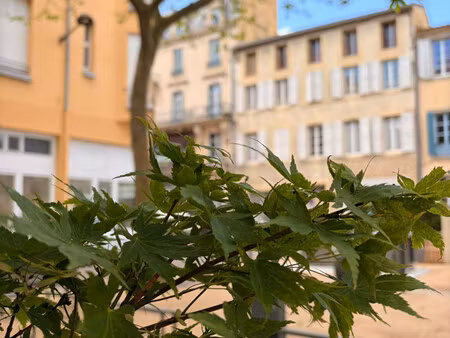 appartement t3 avec terrasse et grand grenier. carcassonne.