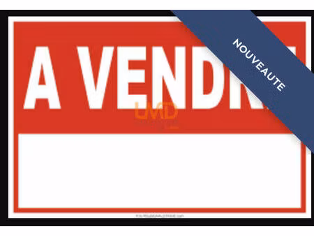 restaurant centre ville - fort potentiel