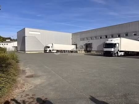 location local d’activités le mans 72000 2554m²