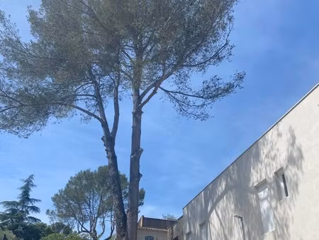 nîmes  hauts de camplanier  appartement type 4 et garages