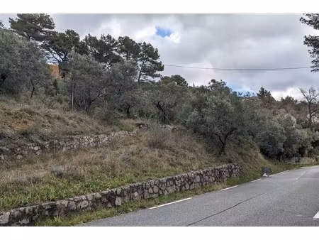 annonce terrain à vendre