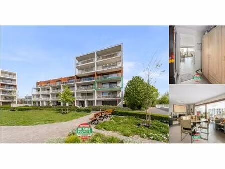 appartement à vendre à maaike kerrebroeckstraat 9 assebroek (rwc42428)