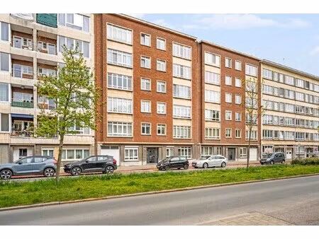 appartement te koop in antwerpen met 3 slaapkamers