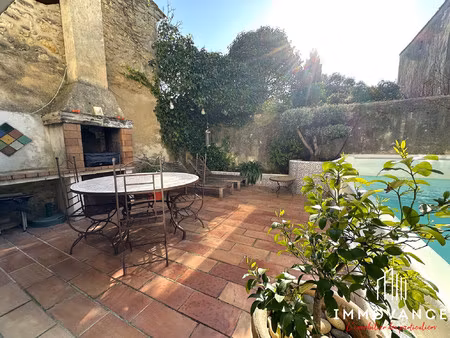 maison de village avec patio  piscine à débordement  garage et
