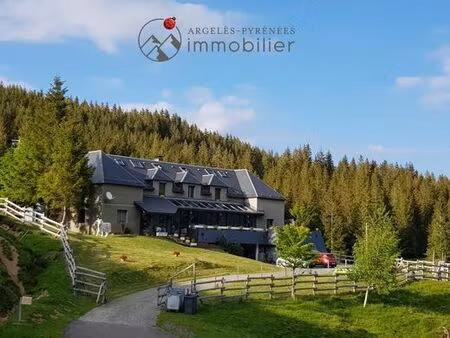 maison de luxe 10 chambres en vente à arrens-marsous  occitanie