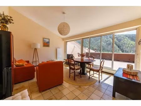 appartement 1 chambre avec terrasse sur le toit