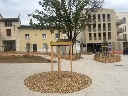 location commerce crepieux la pape 69140 74m²