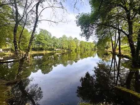 terrain de loisir avec etang