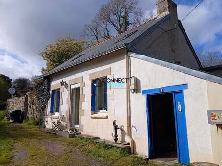 vente maison à langonnet (56630) : à vendre / 75m² langonnet