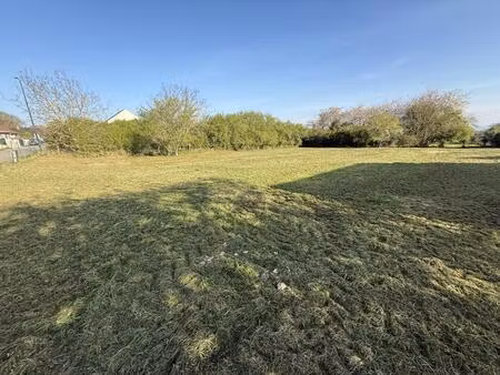terrain constructible
