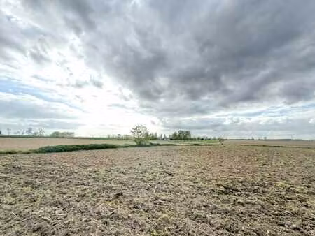 terrain agricole