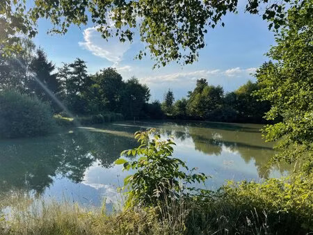 magnifique etang a vendre