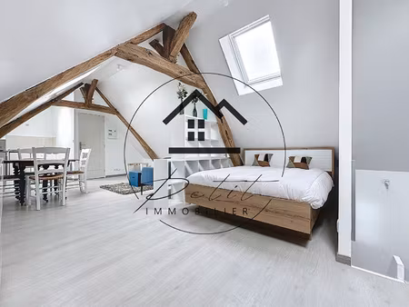 studio meublé sous combles