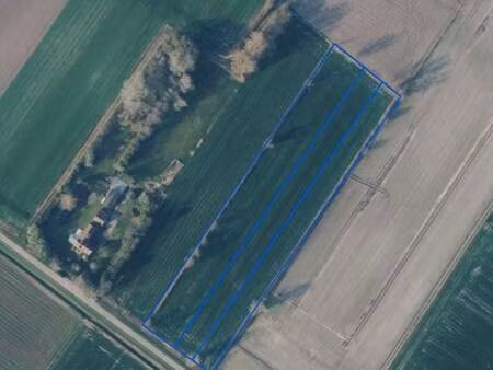 terrain à vendre à sint-laureins € 81.225 (lnpx1) - bigsand | zimmo