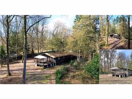 chalet à vendre à rue la forestière 37 couvin (vbe16872)