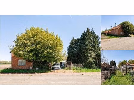 maison à vendre à haringslede 17 moerbeke-waas (rbv80384)