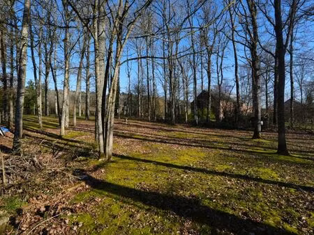 terrain à vendre à barvaux-sur-ourthe € 135.000 (lnrz5) - era b-lux (durbuy) | zimmo