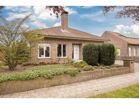 vrijstaande woning in sint-lenaarts