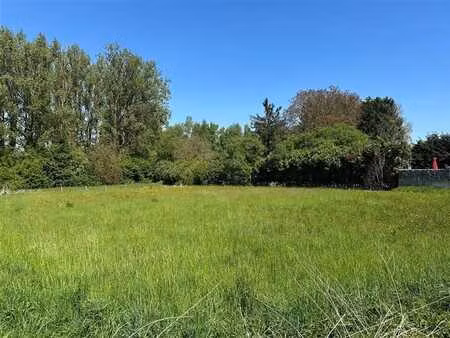 très beau terrain