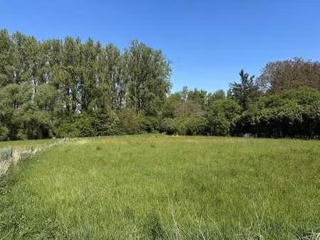 très beau terrain