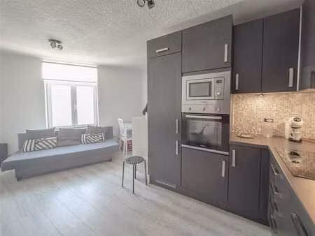 solbosch/arcades - studio meublé de 30m² !
