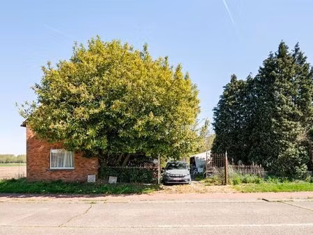 maison à vendre à moerbeke-waas € 245.000 (lnsl8) - heylen vastgoed - waasland | zimmo