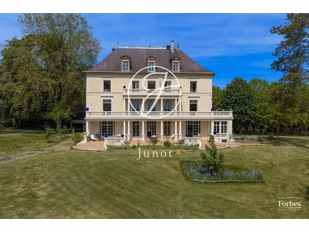 vente château 22 pièces 621 m² à sens (89100)  1 523 000 €