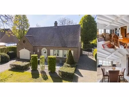 maison à vendre à esdoornstraat 9 mol (rbv80202)