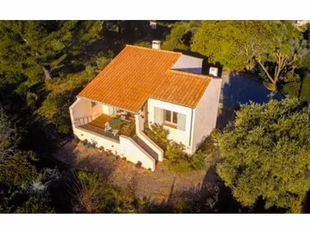 bormes-les-mimosas (83230)