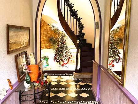 vente maison viager 473 m² salies-de-béarn (64270)