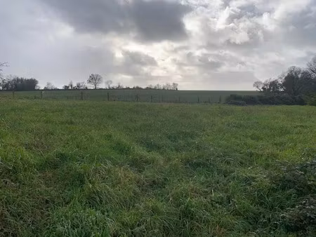 vente terrain 1122 m² la réorthe (85210)