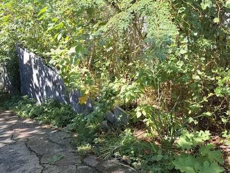 a vendre très beau terrain de 240 m2  viabilisé - quartier f