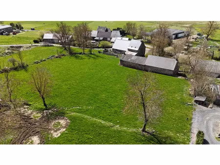 vente terrain 2391 m² à coltines (15170)  43 000 €