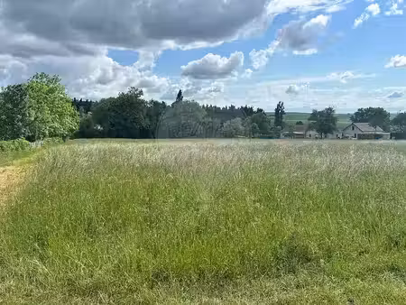 vente terrain 3383 m² à quenne (89290)  43 000 €